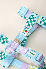 Manhattan Cherish H-Harness & Leash