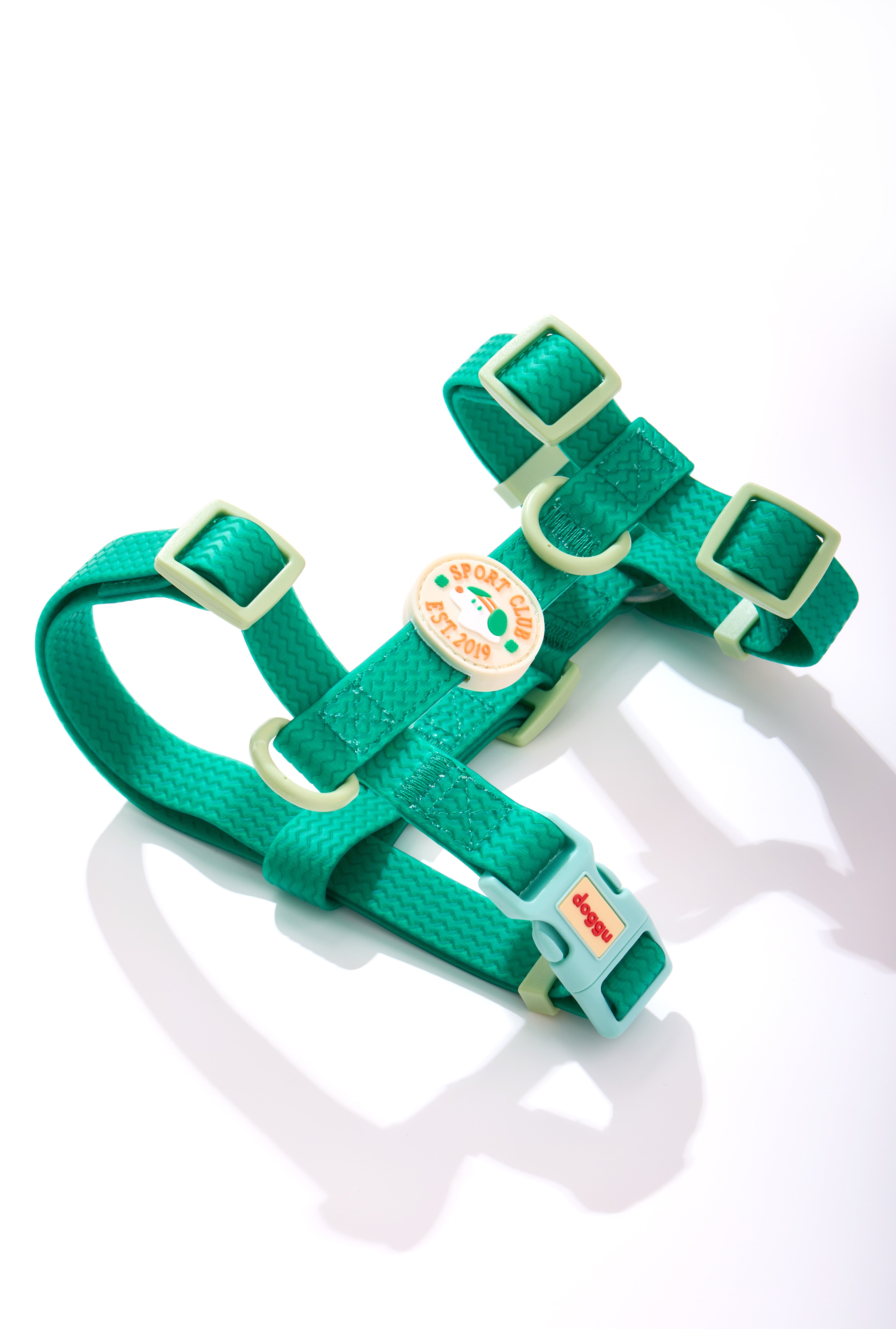 Sport Club Waterproof Harness and leash
