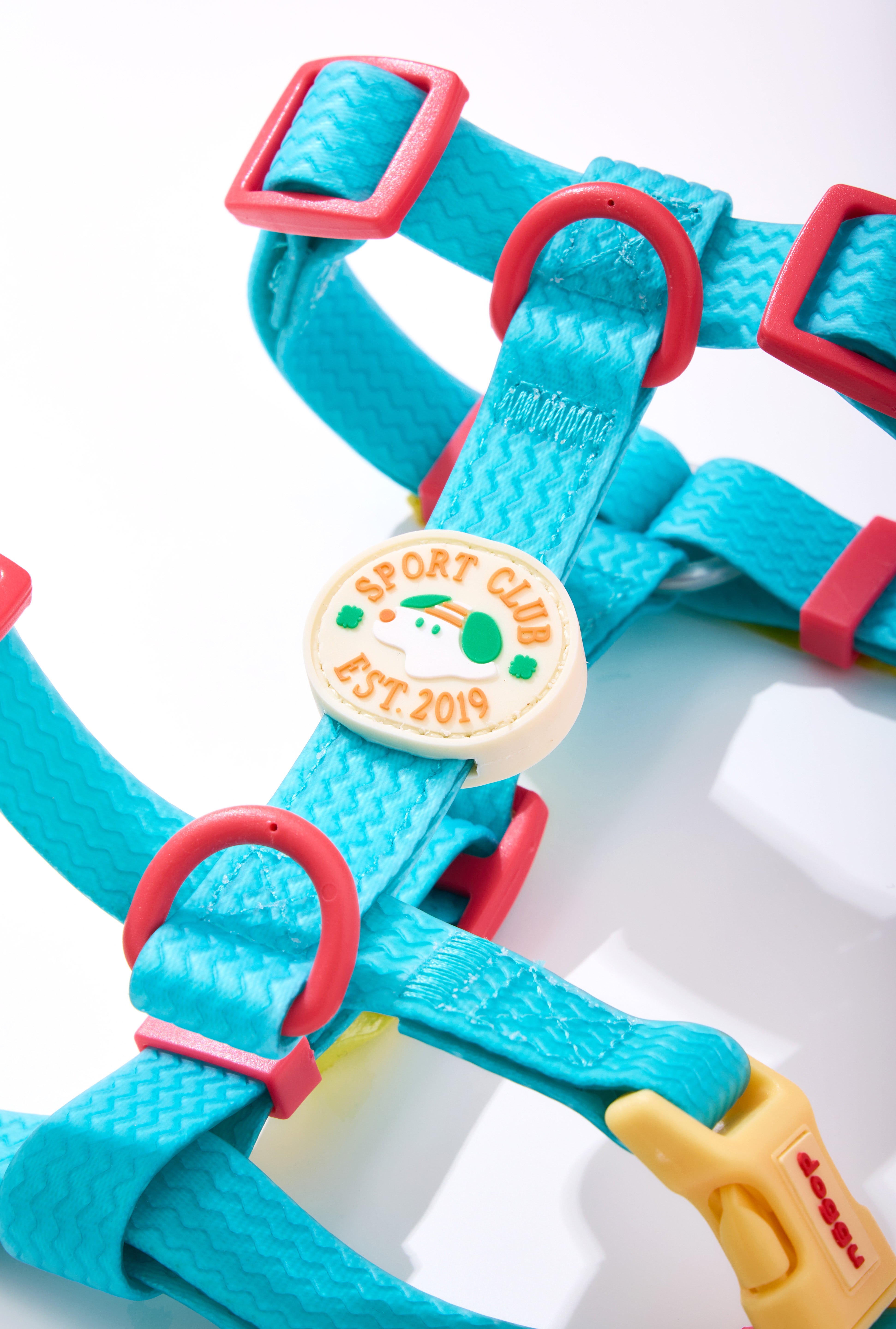 Sport Club Waterproof Harness and leash