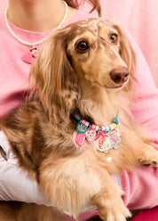 Create your own : Cupid's Garden Necklace Collection