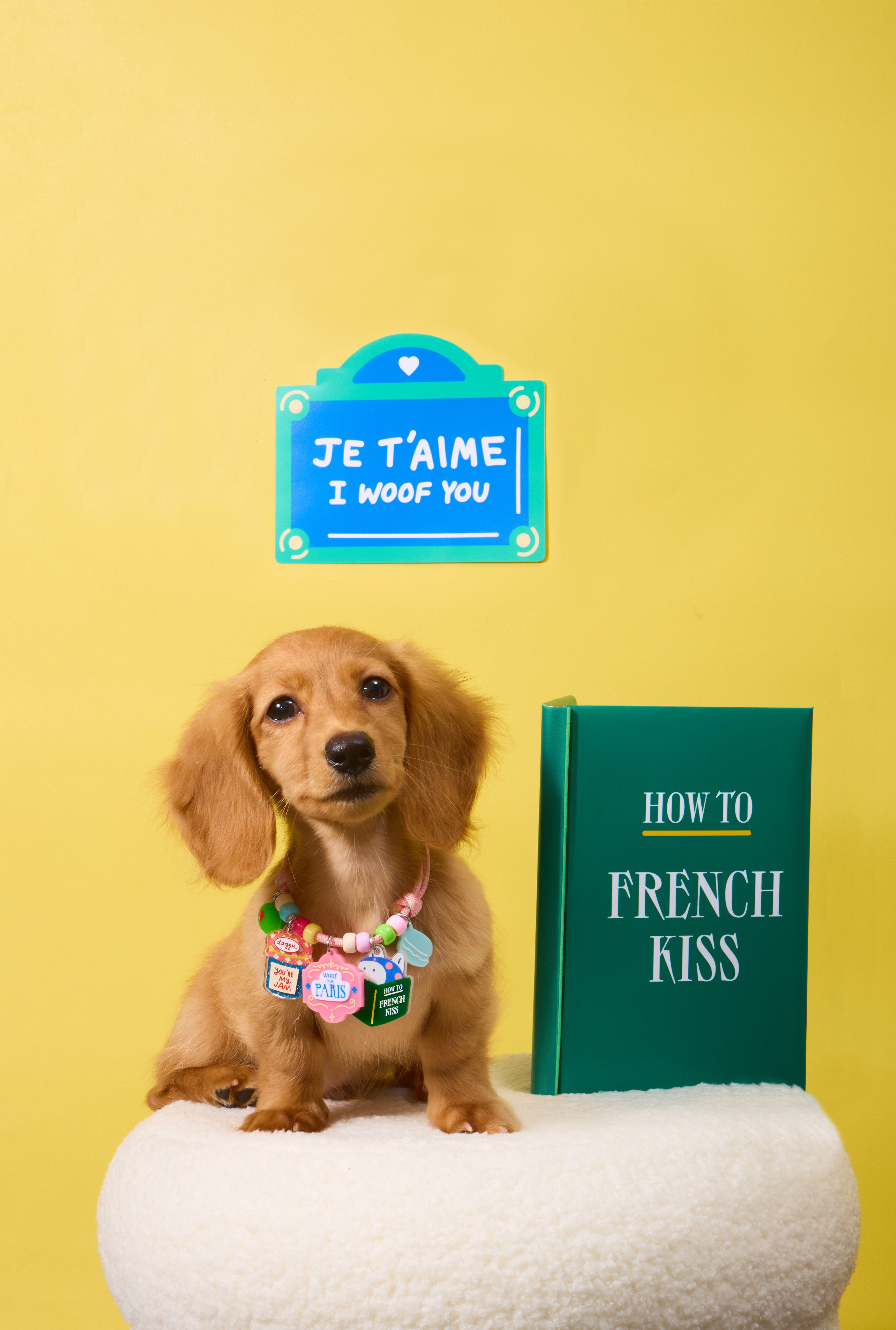 Parisian Collection Charm Set D French Kiss Set
