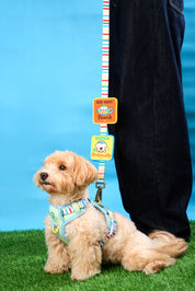 Doggu Wappen : Willy