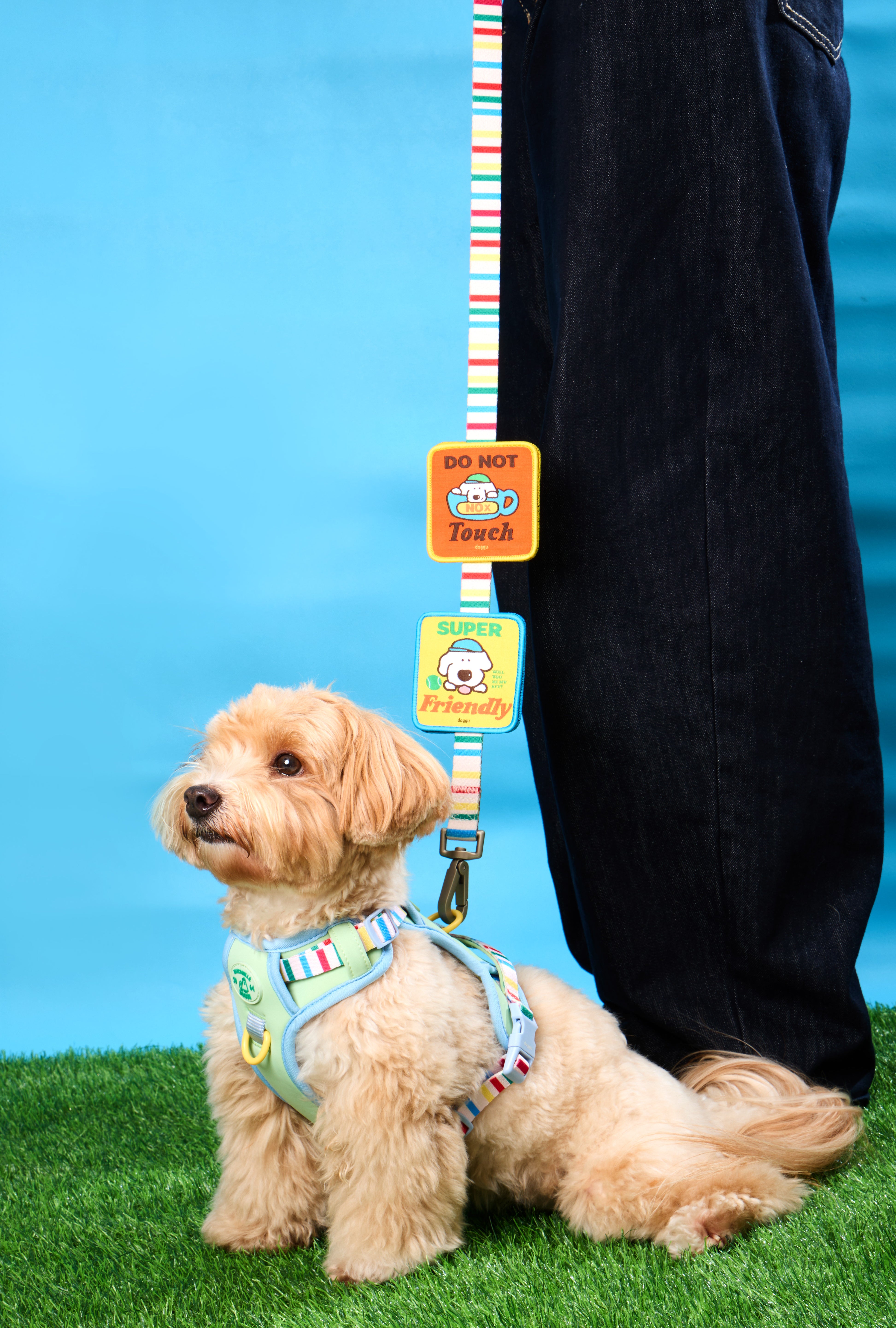 Doggu Wappen : Willy