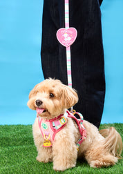 Doggu Wappen : Willy