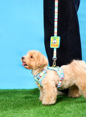 Doggu Wappen : Willy