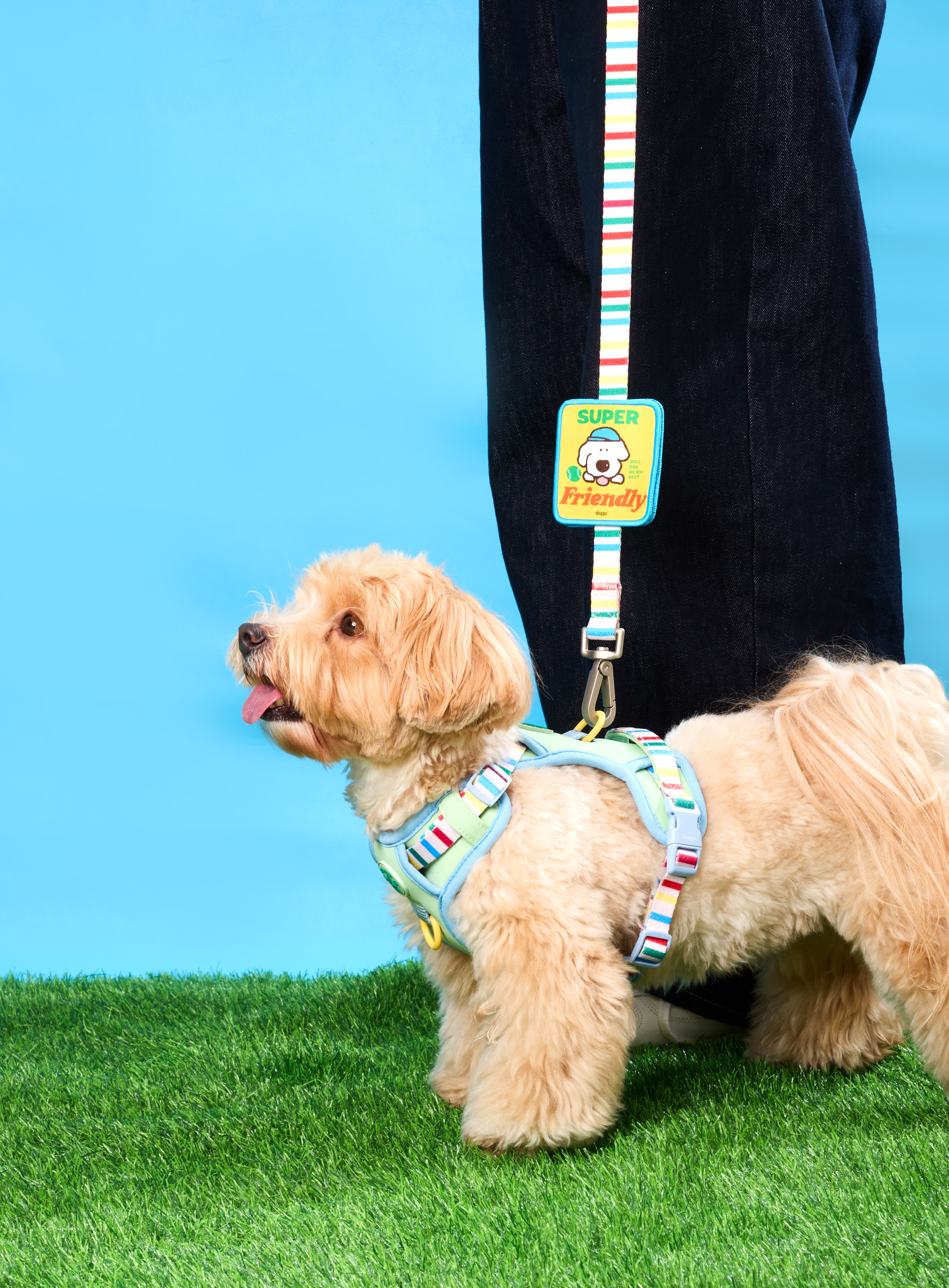 Doggu Wappen : Willy