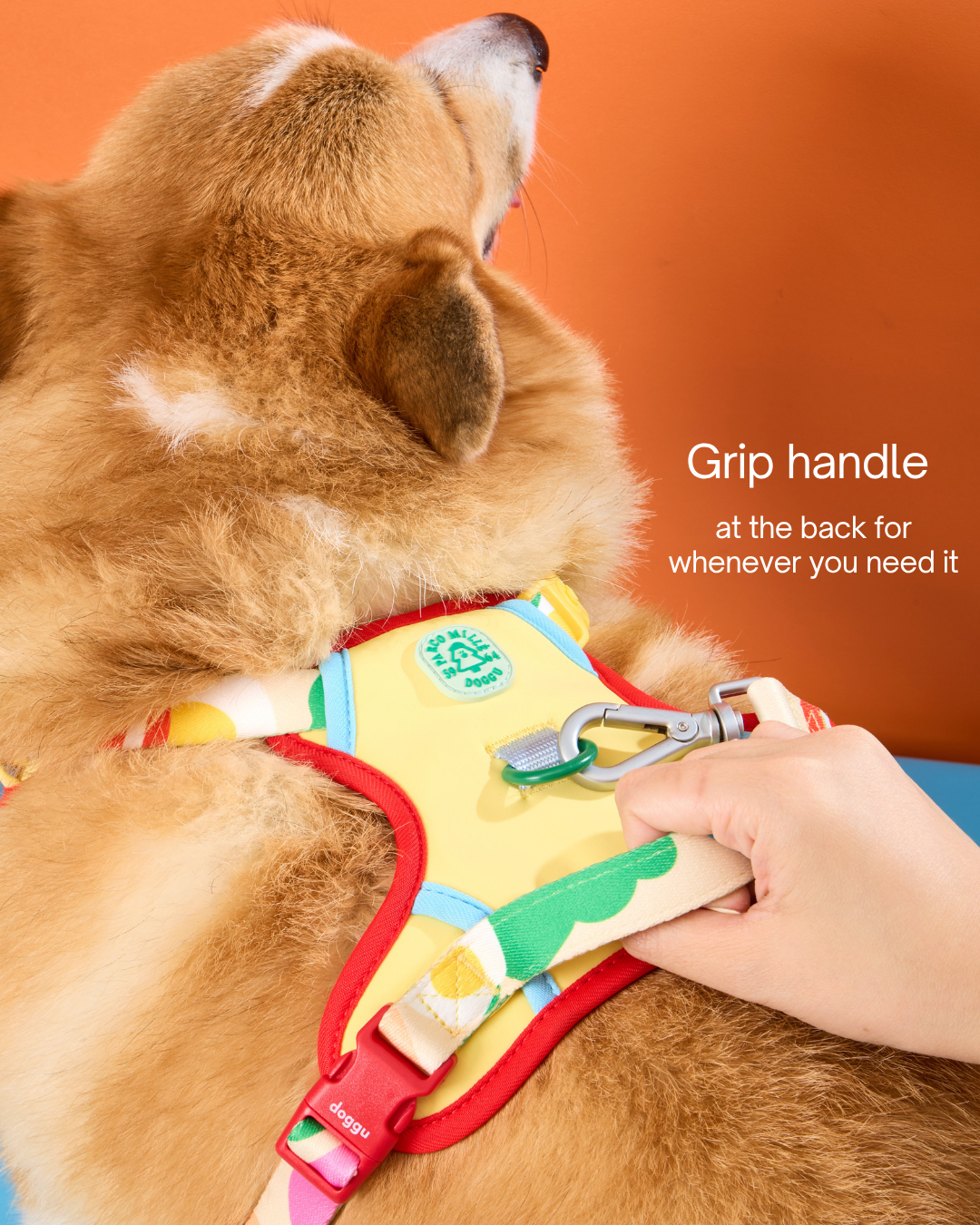 Doggu Parco Mille Harness Set with double lock buckle (Pre-Order)