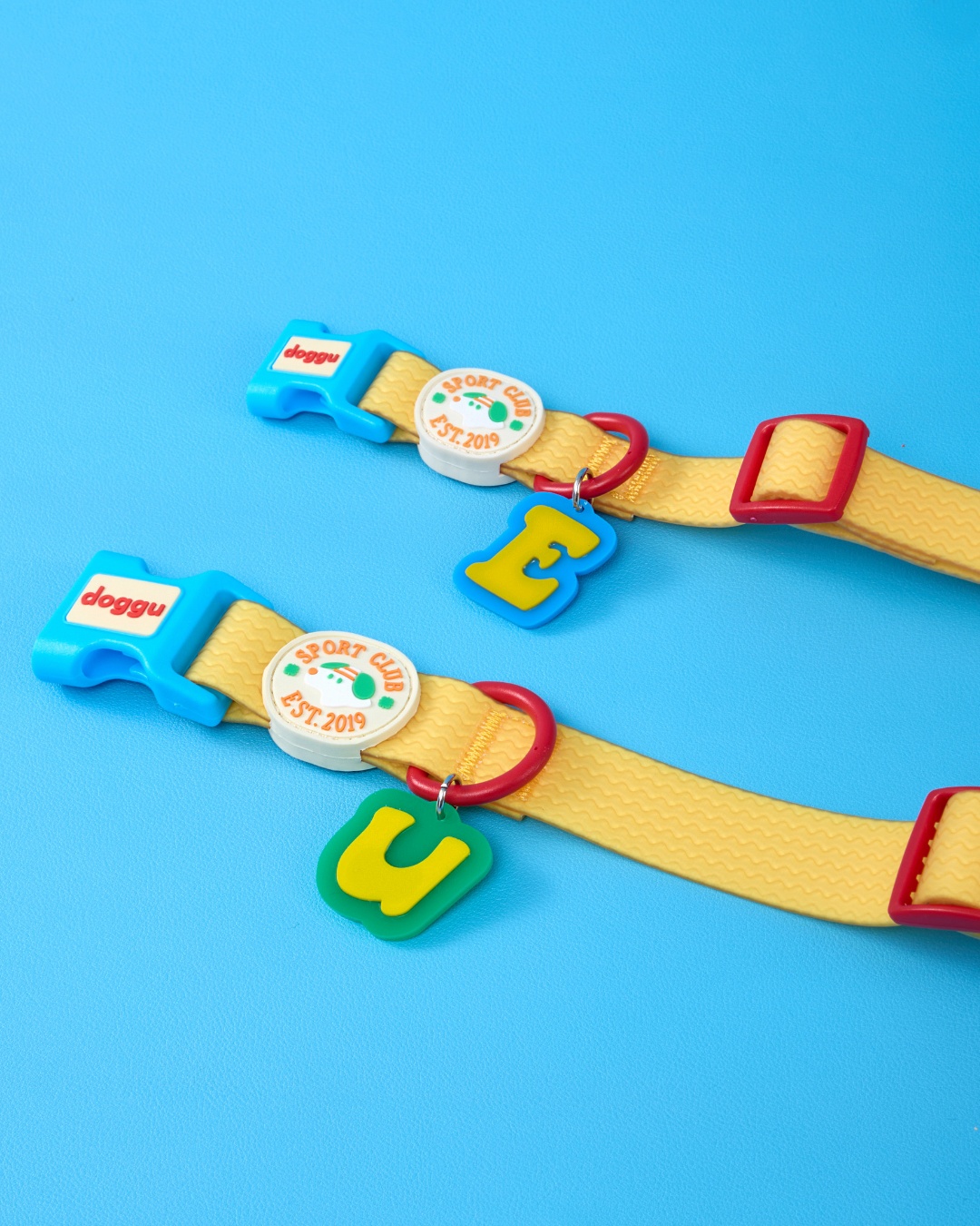 Sport Club Waterproof collar and leash