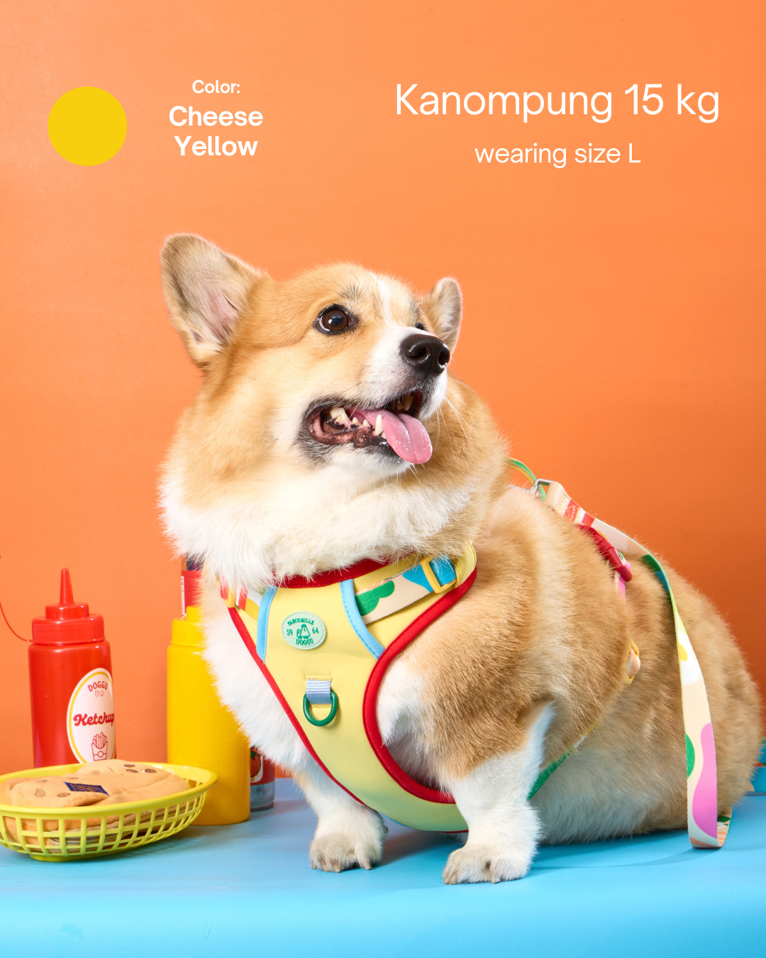 Doggu Parco Mille Harness Set with double lock buckle (Pre-Order)