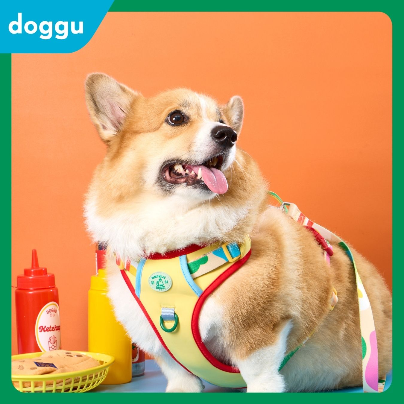 Doggu Parco Mille Harness Set with double lock buckle (Pre-Order)