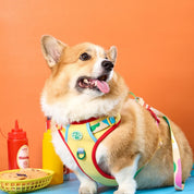 Doggu Parco Mille Harness Set with double lock buckle (Pre-Order)