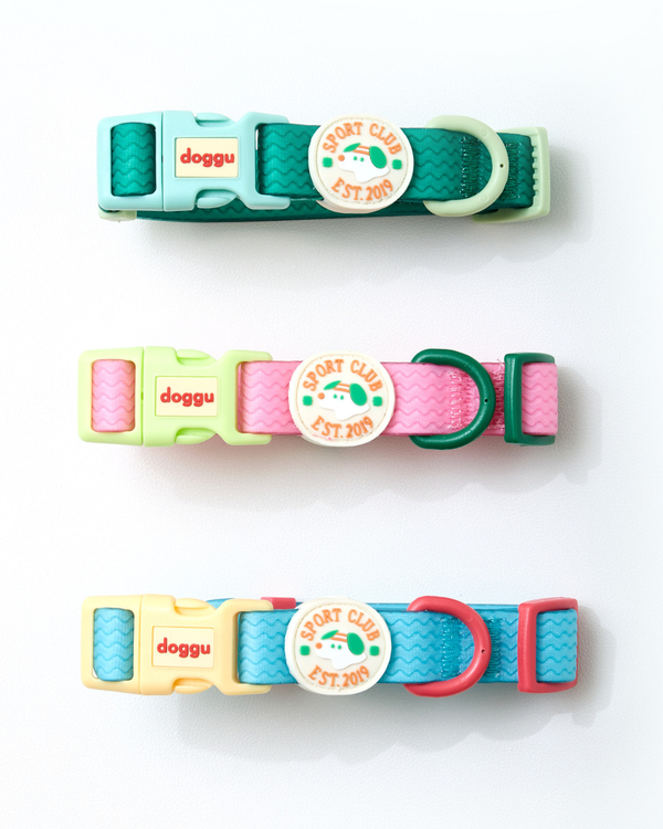 Sport Club Waterproof collar and leash