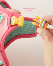 Doggu Parco Mille Harness Set with double lock buckle (Pre-Order)