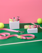 Sport Club Waterproof collar and leash