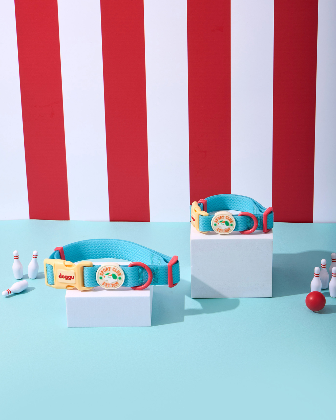 Sport Club Waterproof collar and leash