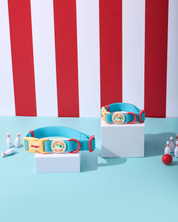 Sport Club Waterproof collar and leash
