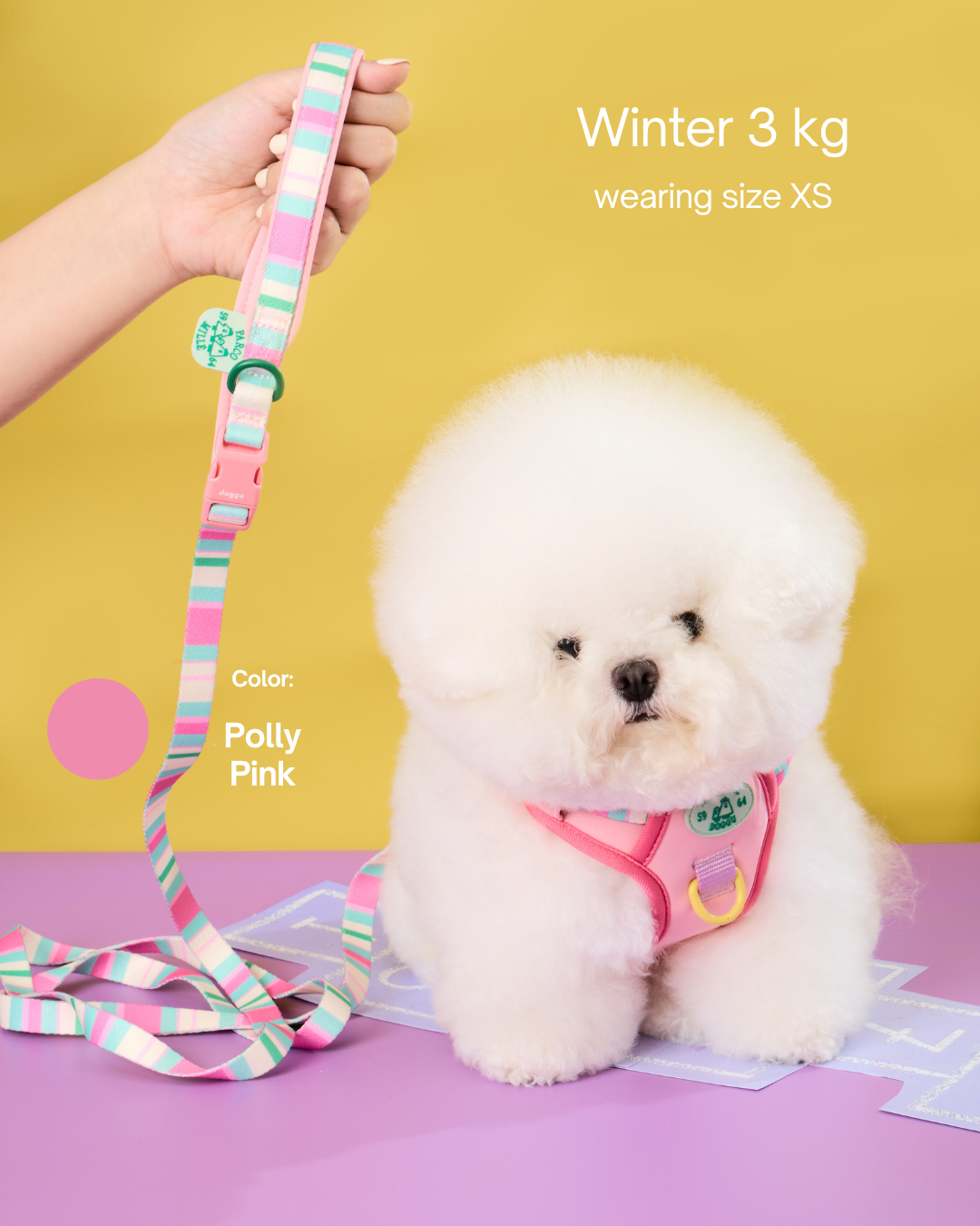 Doggu Parco Mille Harness Set with double lock buckle (Pre-Order)