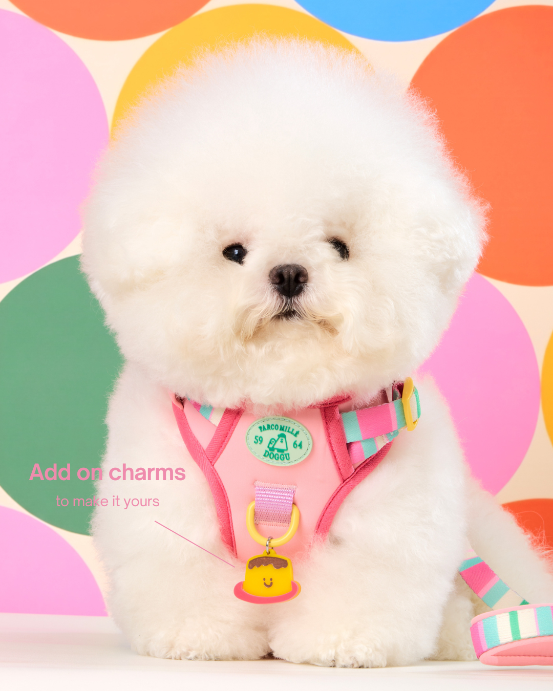 Doggu Parco Mille Harness Set with double lock buckle (Pre-Order)
