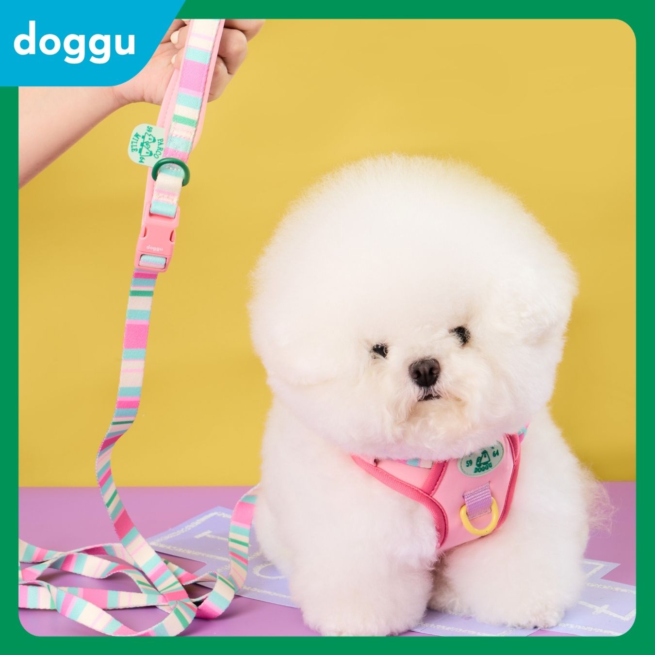Doggu Parco Mille Harness Set with double lock buckle (Pre-Order)