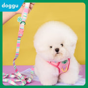 Doggu Parco Mille Harness Set with double lock buckle (Pre-Order)