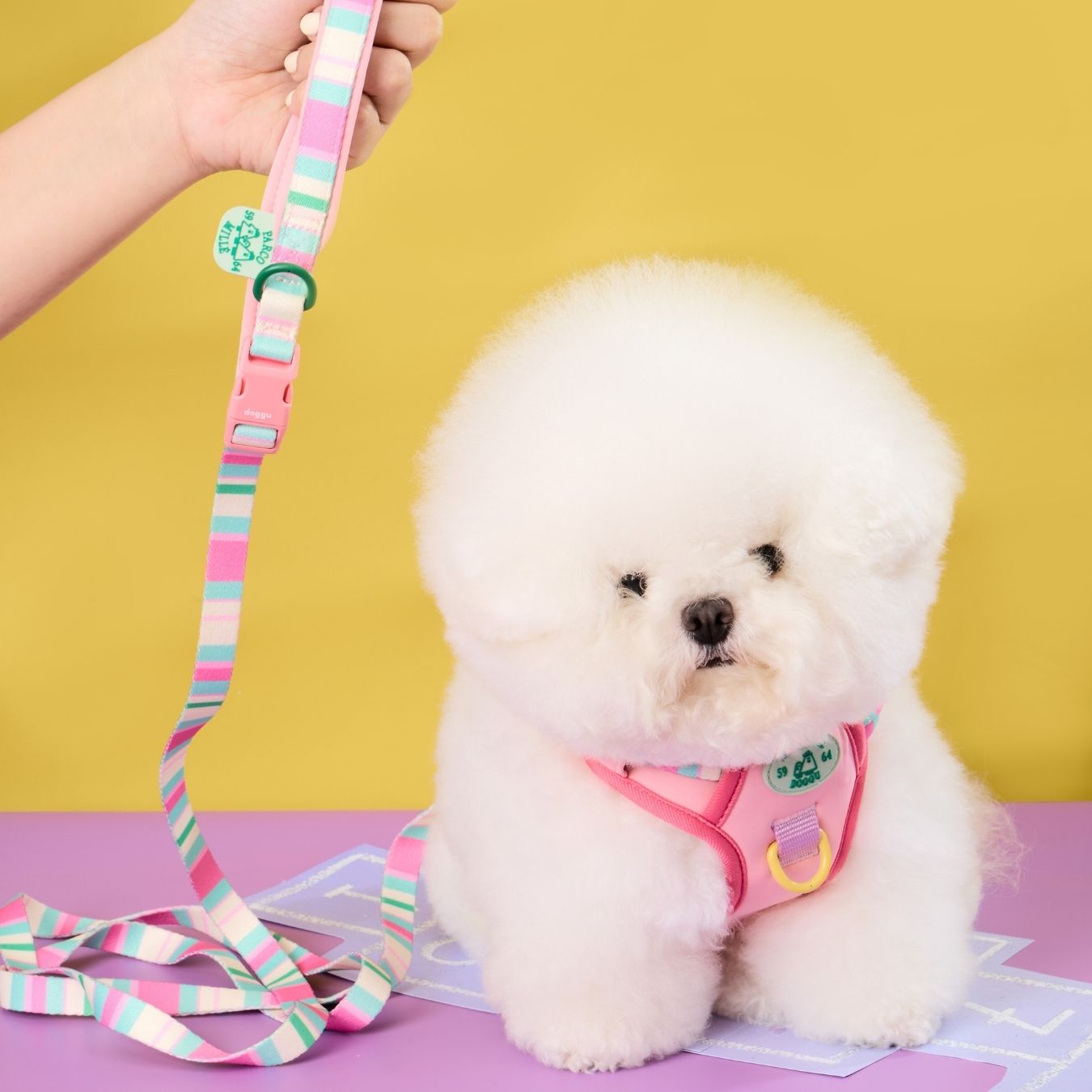 Doggu Parco Mille Harness Set with double lock buckle (Pre-Order)