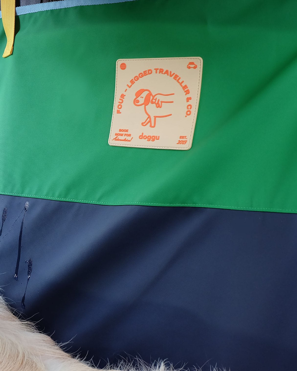 Car Seat Cover : Dirty Paws Welcome
