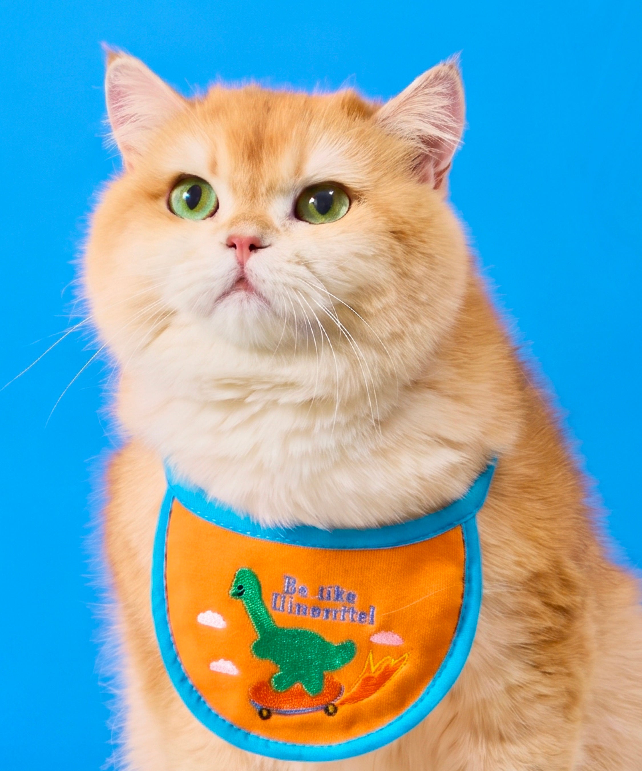 DOGGU HAPPY PET BIB II