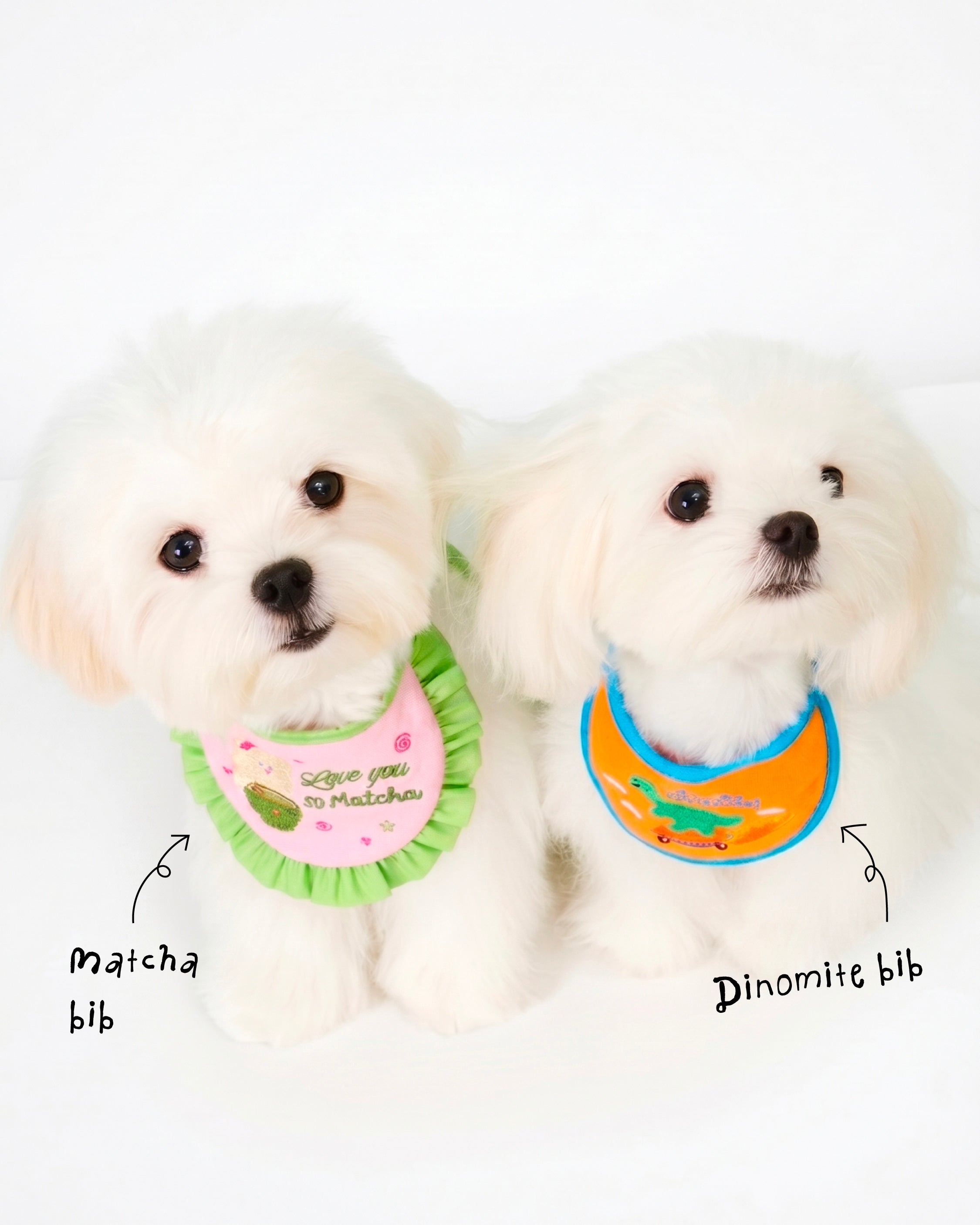 DOGGU HAPPY PET BIB II