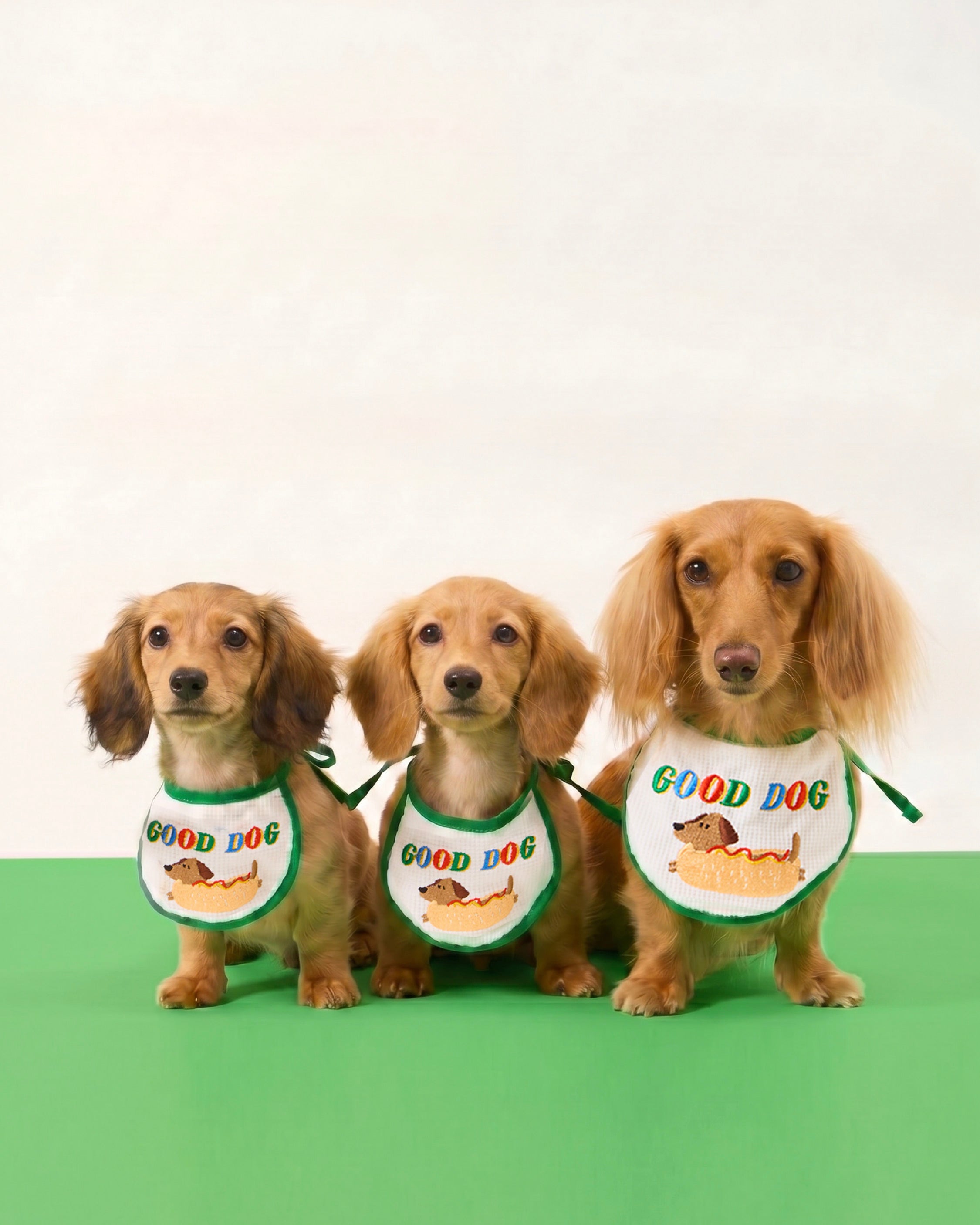 DOGGU HAPPY PET BIB II