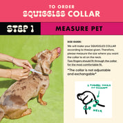 Create your own: Squiggles Collar