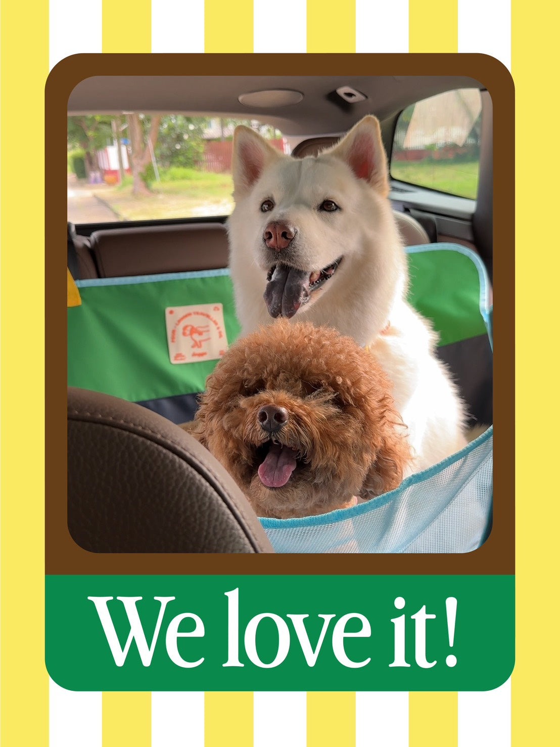 Car Seat Cover : Dirty Paws Welcome