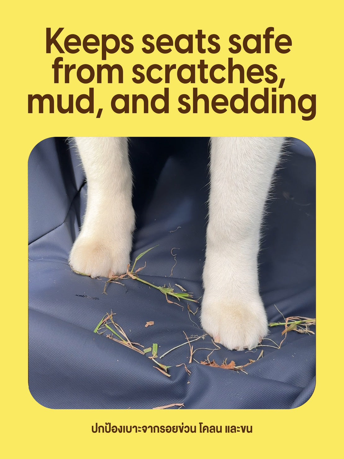 Car Seat Cover : Dirty Paws Welcome