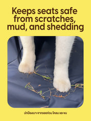 Car Seat Cover : Dirty Paws Welcome