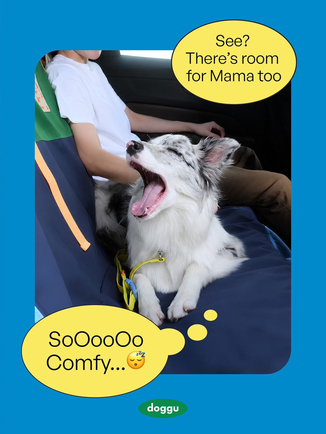 Car Seat Cover : Dirty Paws Welcome