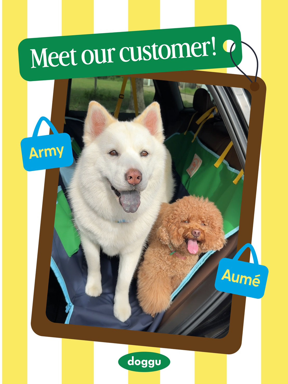 Car Seat Cover : Dirty Paws Welcome