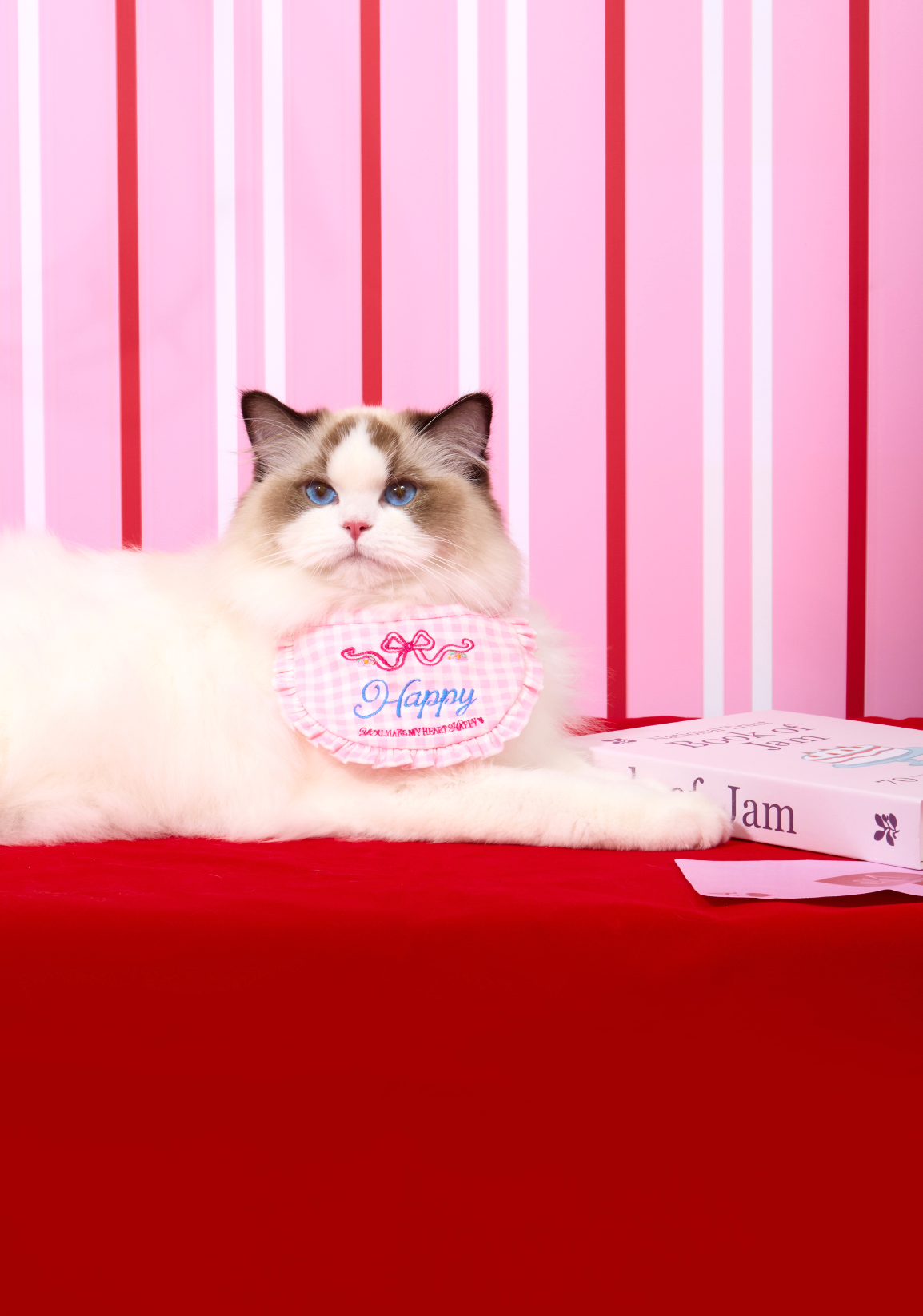 Personalise Pink Checkered Pet bib