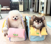 Ogo ogo Pet carrier
