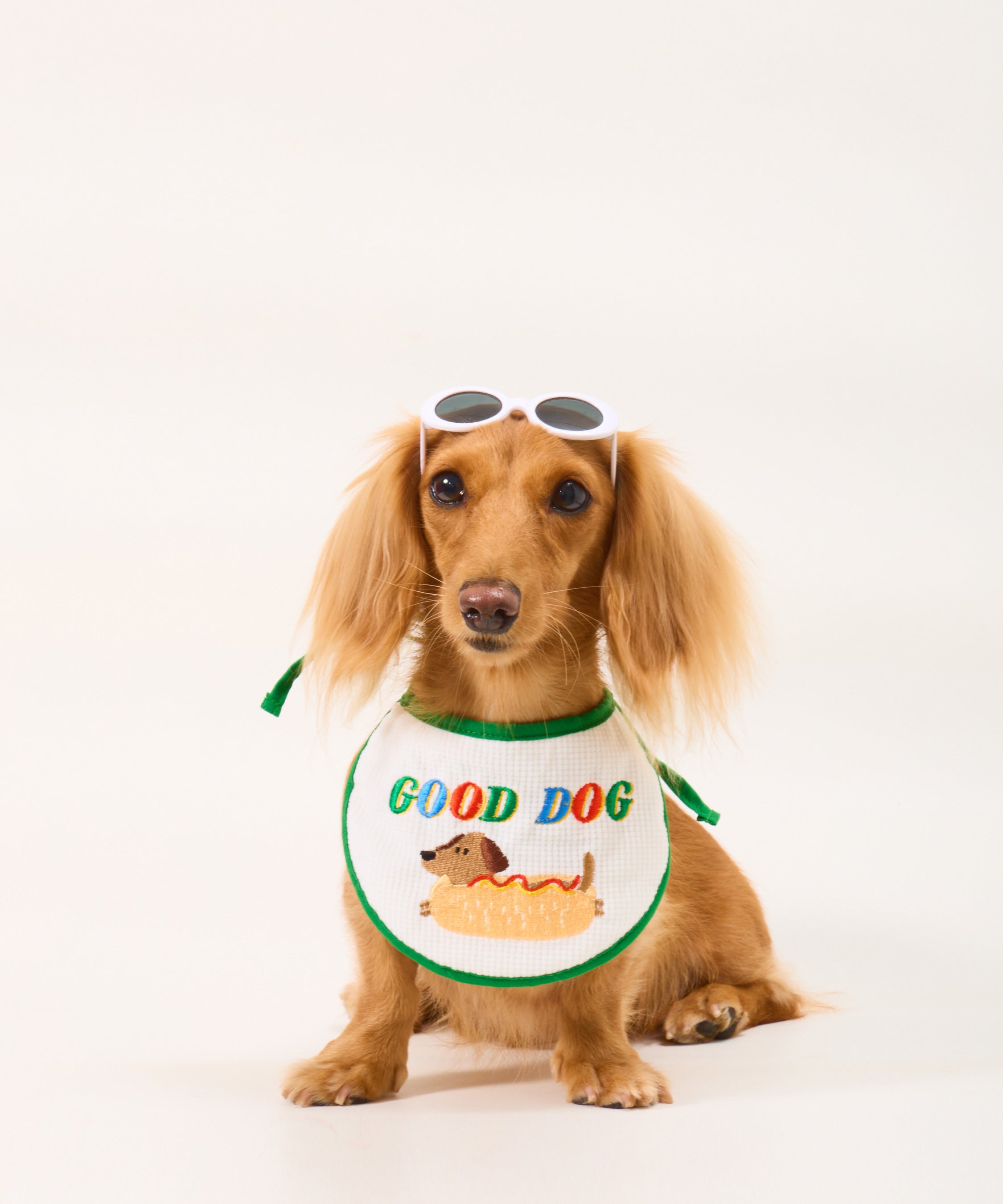 DOGGU HAPPY PET BIB II