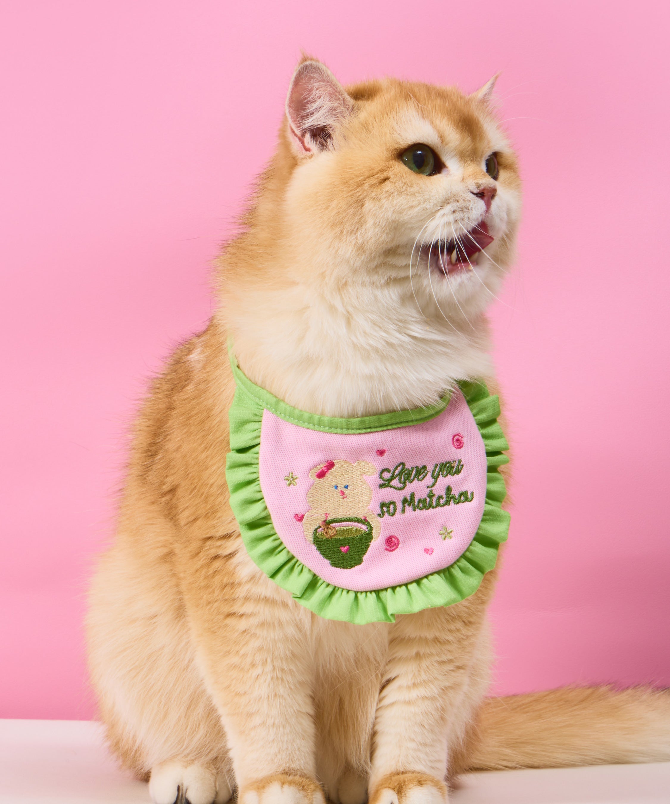 DOGGU HAPPY PET BIB II
