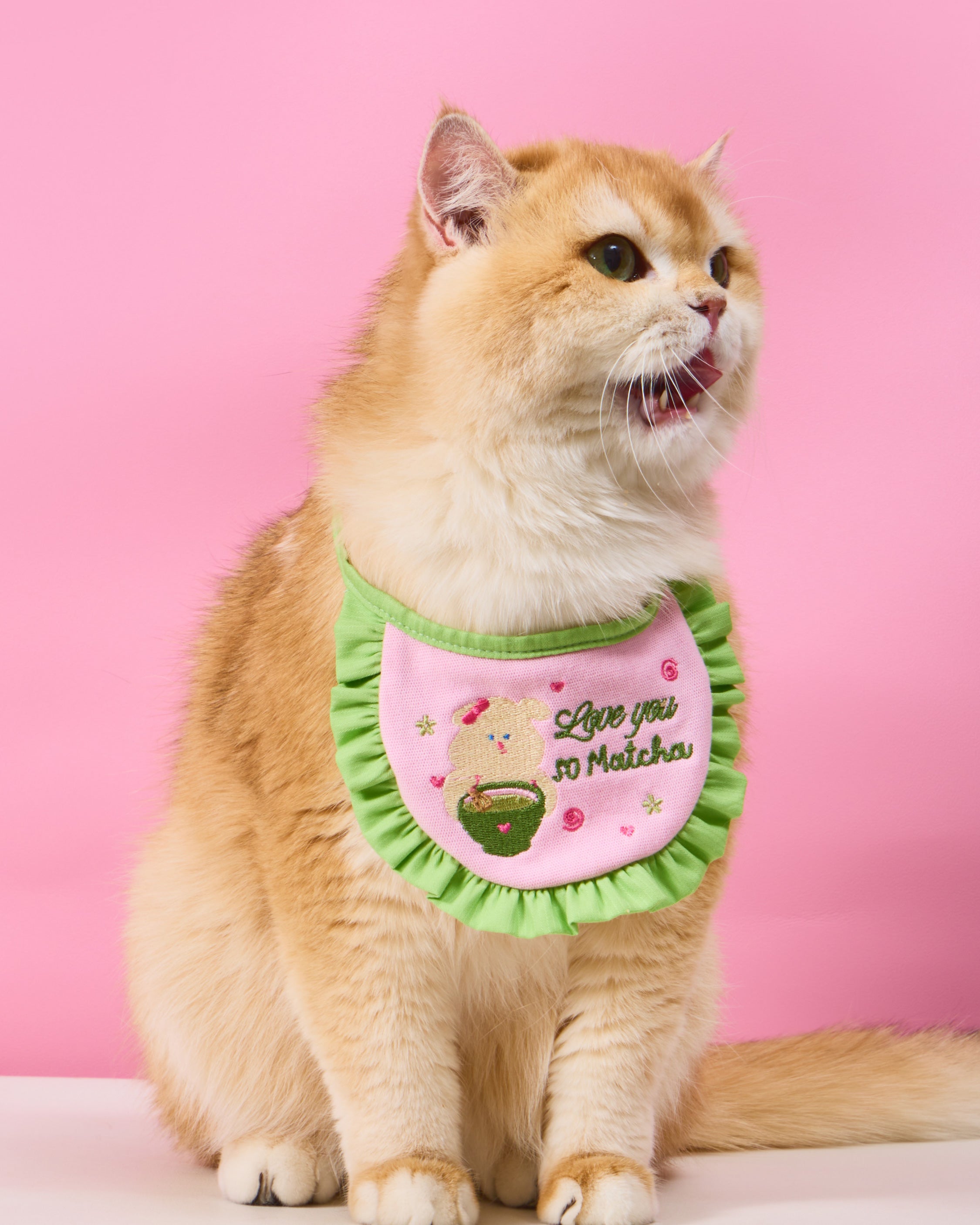 DOGGU HAPPY PET BIB II