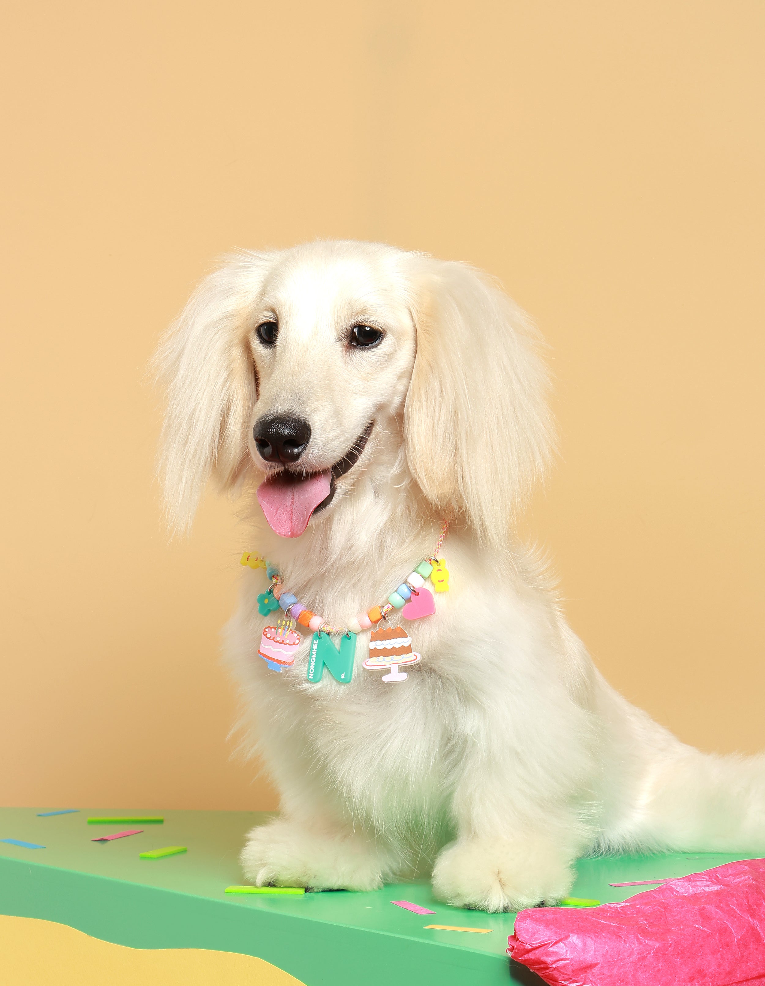 Create your own : Birthday Pawty Necklace