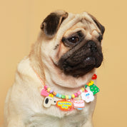 Create your own : Birthday Pawty Necklace