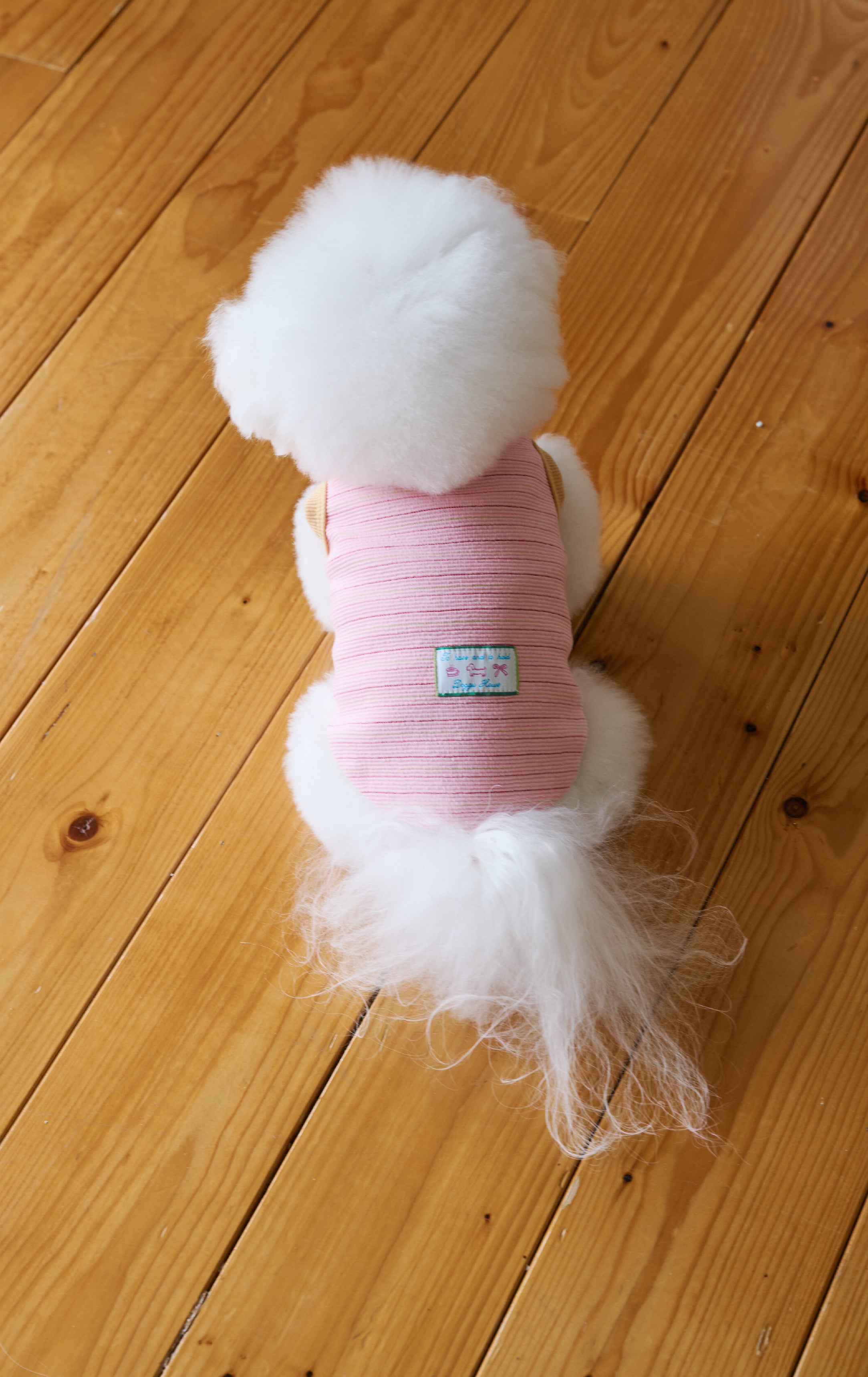 Fur baby To have and to hold Collection🎀