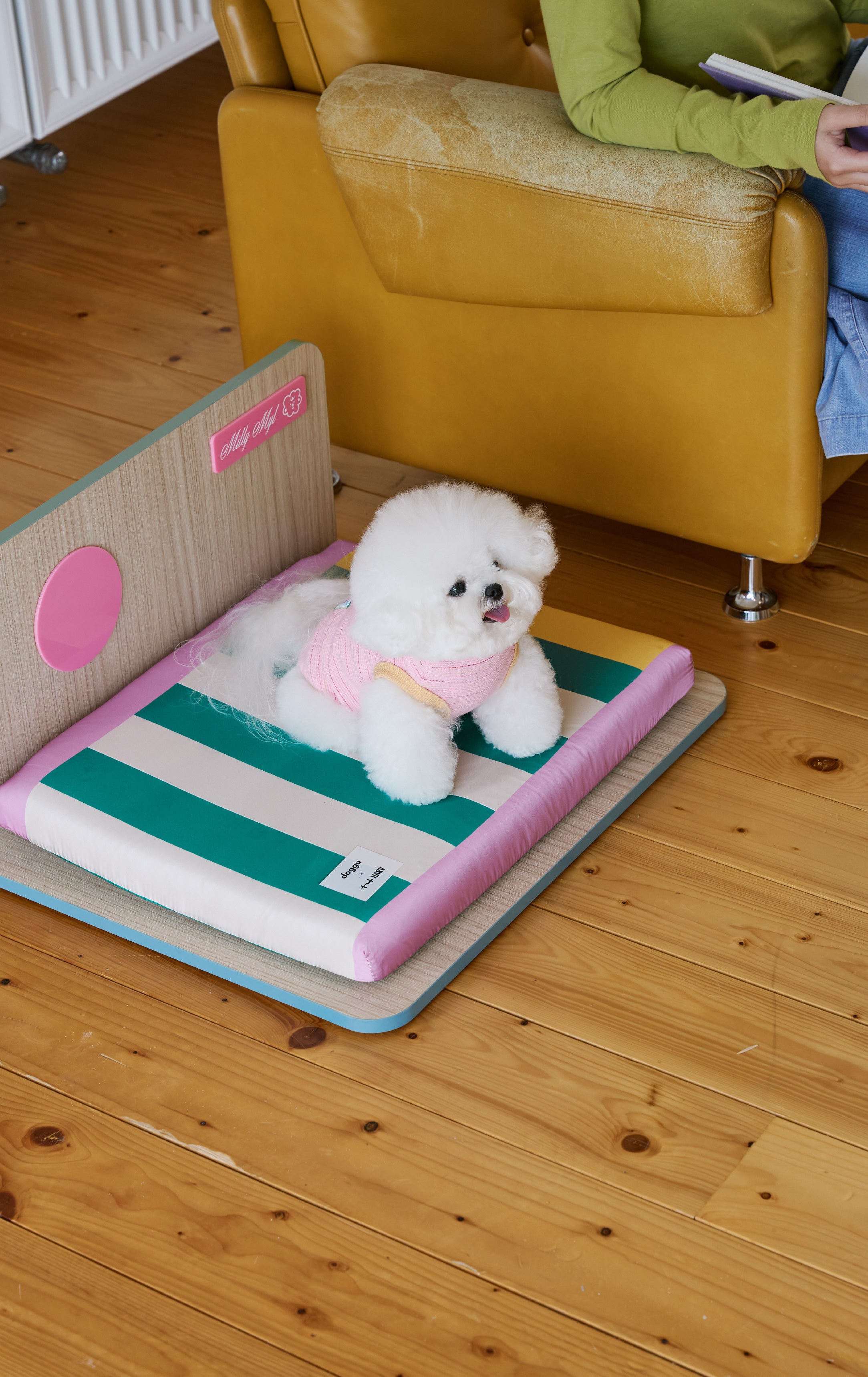 Fur baby To have and to hold Collection🎀