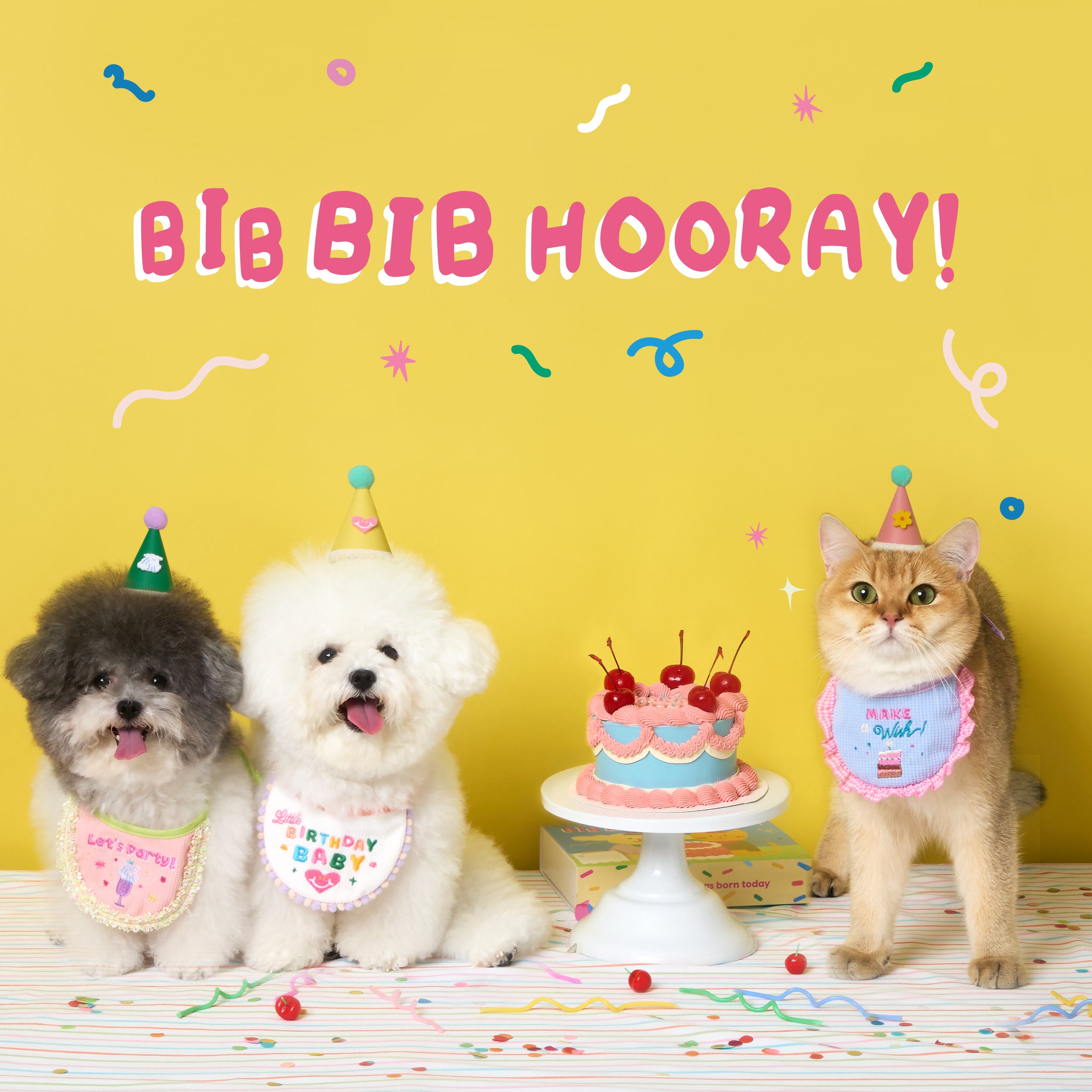 Bib Bib hooray II Birthday bib