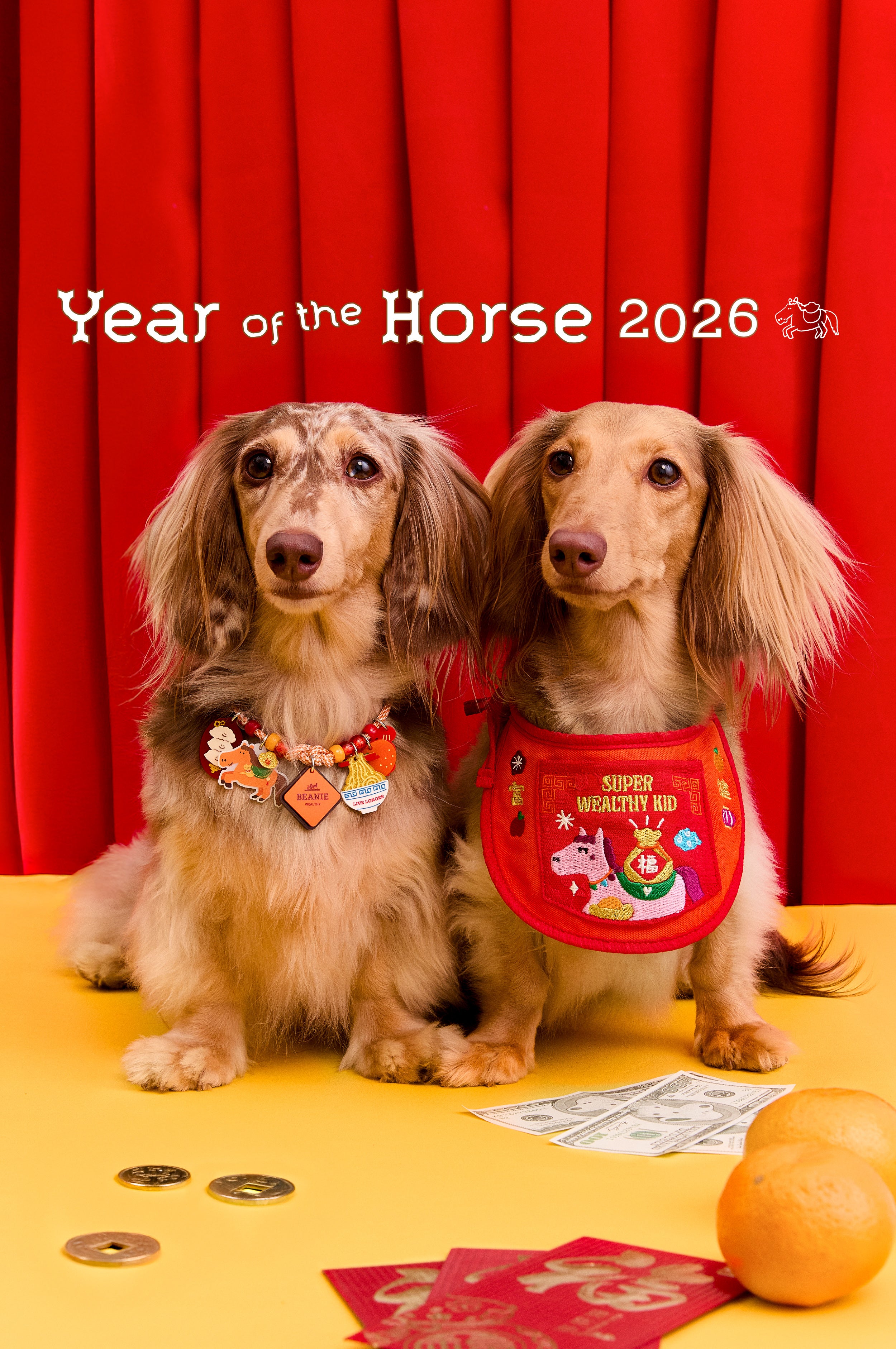 Year of the Horse The Ultimate CNY SET | MD'S PICK