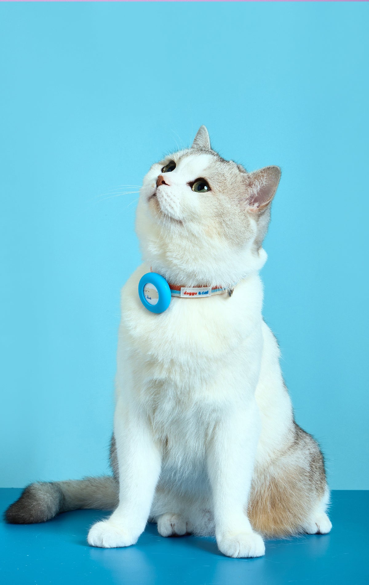 Doggu & Cat Safety buckle airtag collar