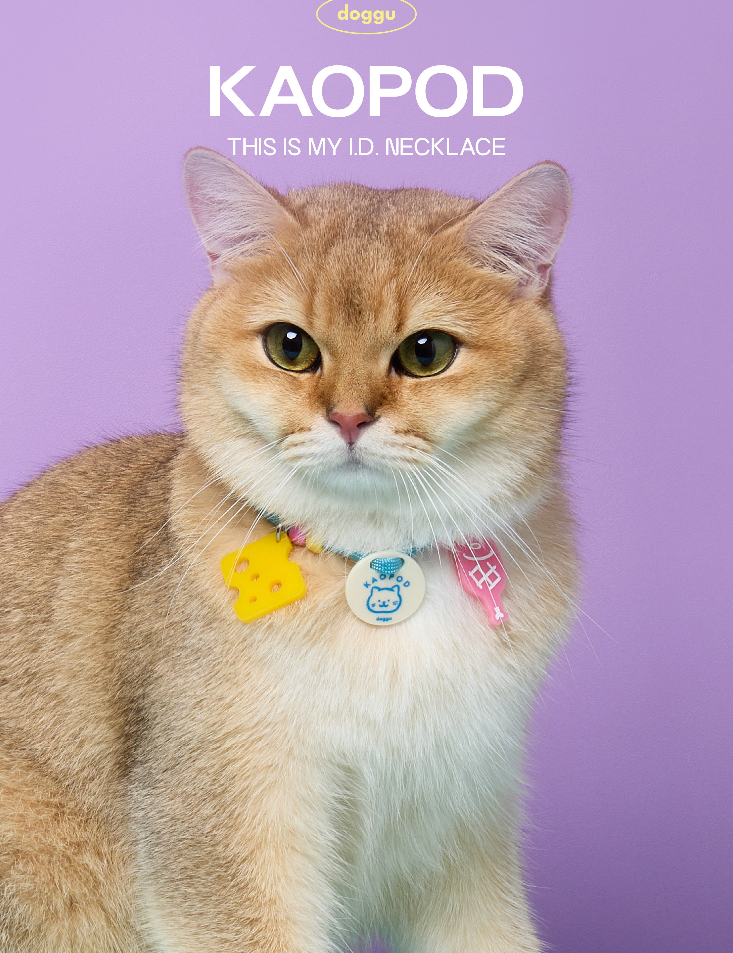 idnecklace-04.jpg