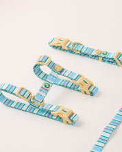 Cat Harness Sleepy Apartment