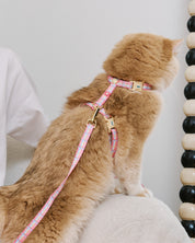 Cat Harness Sleepy Apartment